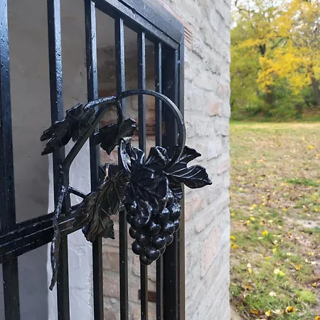Bakonyi Vénkörte *