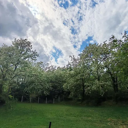 Bakonyi Venkoerte Vendeghaz 公寓 Bakonypeterd