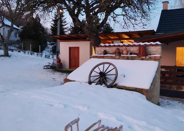 Bakonyi Venkoerte Vendeghaz 公寓