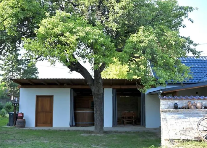 Bakonyi Venkoerte Vendeghaz Bakonypeterd