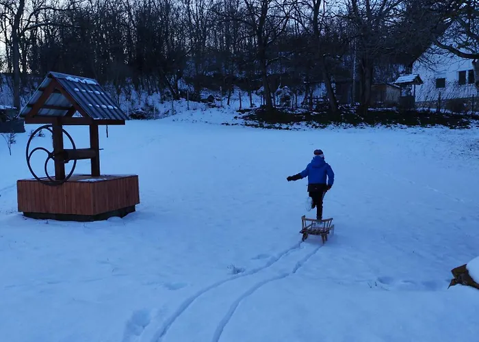 Bakonyi Venkoerte Vendeghaz * Bakonypeterd