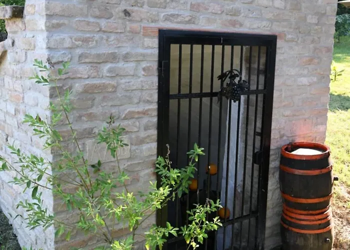 Bakonyi Venkoerte Vendeghaz 公寓 Bakonypeterd