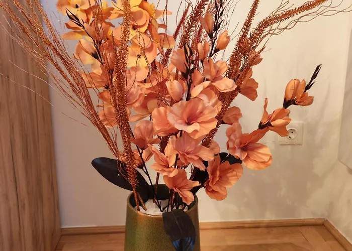 公寓 Bakonyi Venkoerte Vendeghaz *